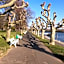 Hotel Krone Rudesheim