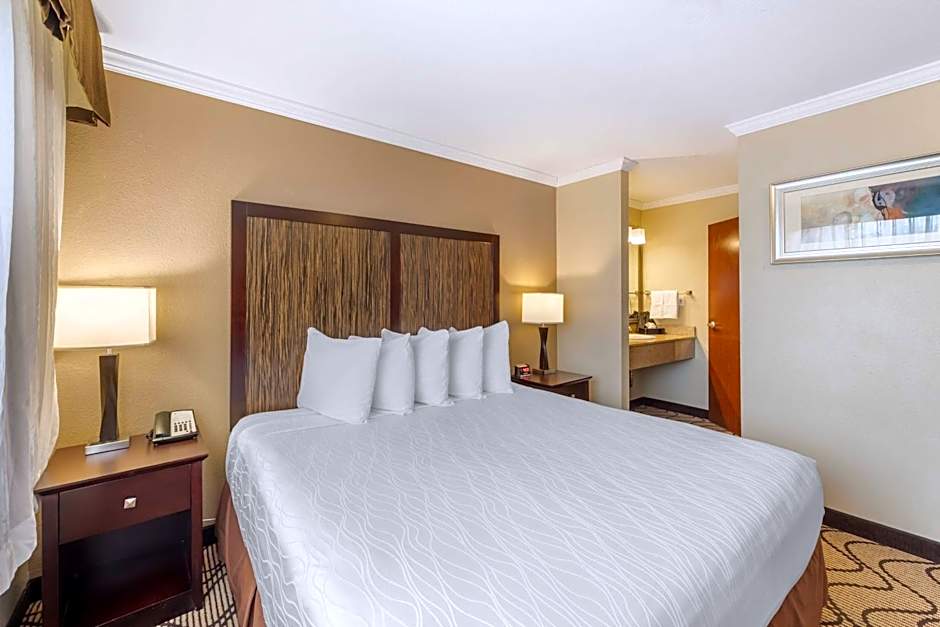 Best Western Plus Orchid Hotel & Suites