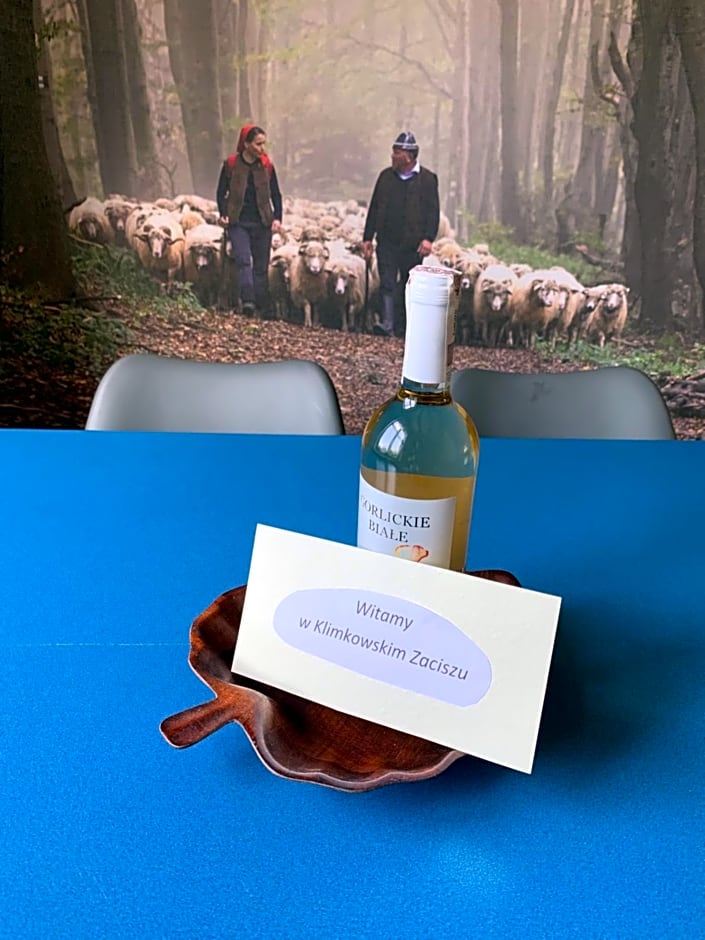 Klimkowskie Zacisze - domek całoroczny