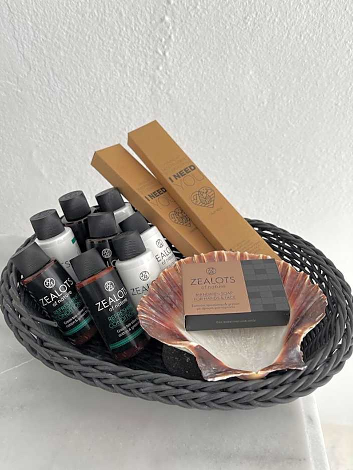 Zenith Blue Traditional Houses