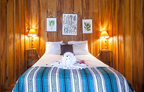 Standard Room (1 Queen Bed)