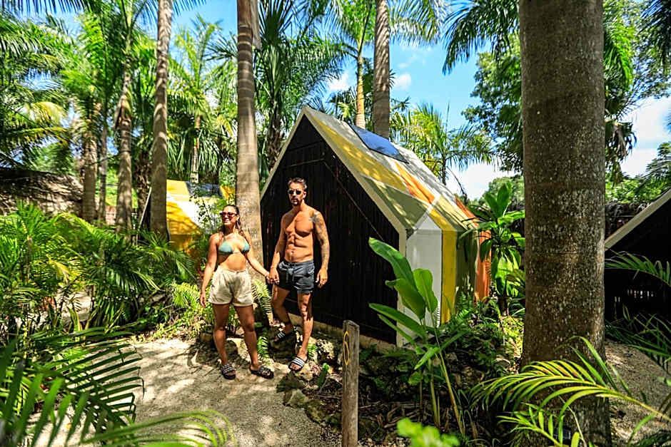 Bufo Alvarius Sanctuary Bacalar