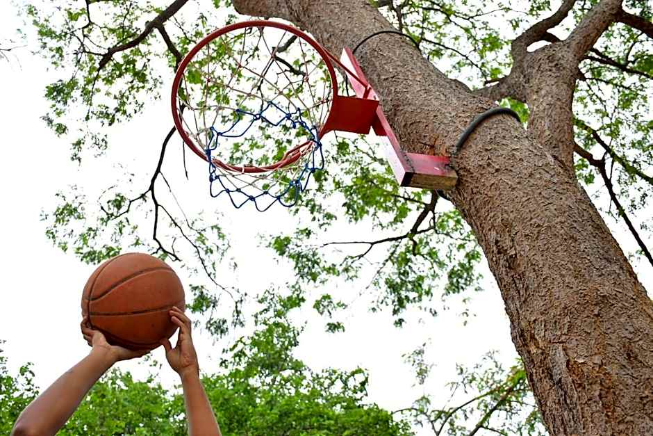 Big Game Yala - by Eco Team