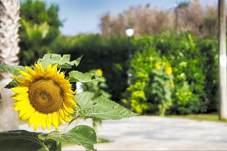 Agriturismo Karrares