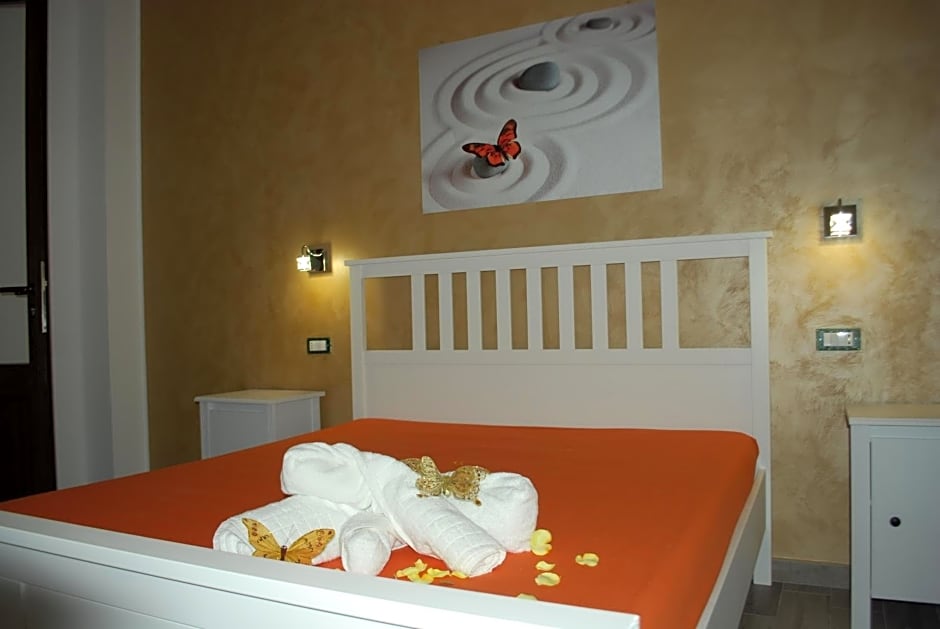 B&B Aurora