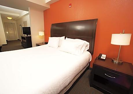 1 King Bed 1 Bedroom Suite With Sofabed