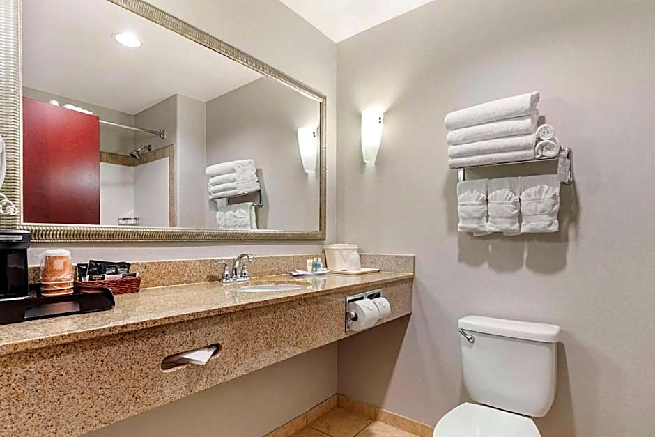 Comfort Suites Palestine