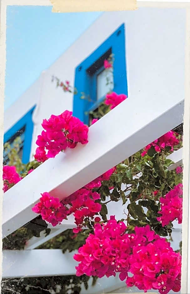 Nautilus Beach House