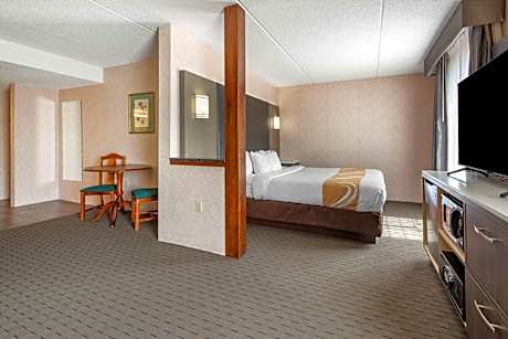 1 King Bed, Suite, Nonsmoking