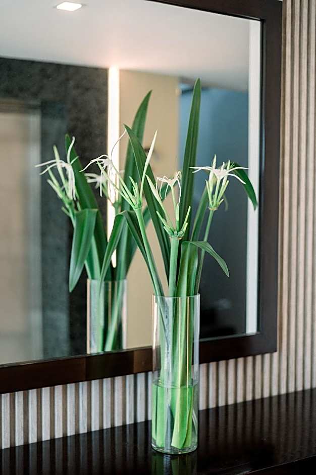 Allure Hotel & Suites