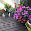 Lakelawn B&B and Motel