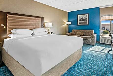 King Room with Sofa Bed