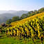 Best Western Hotel & SPA Le Schoenenbourg