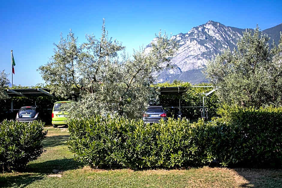 AB&C Arco Bed And Camping