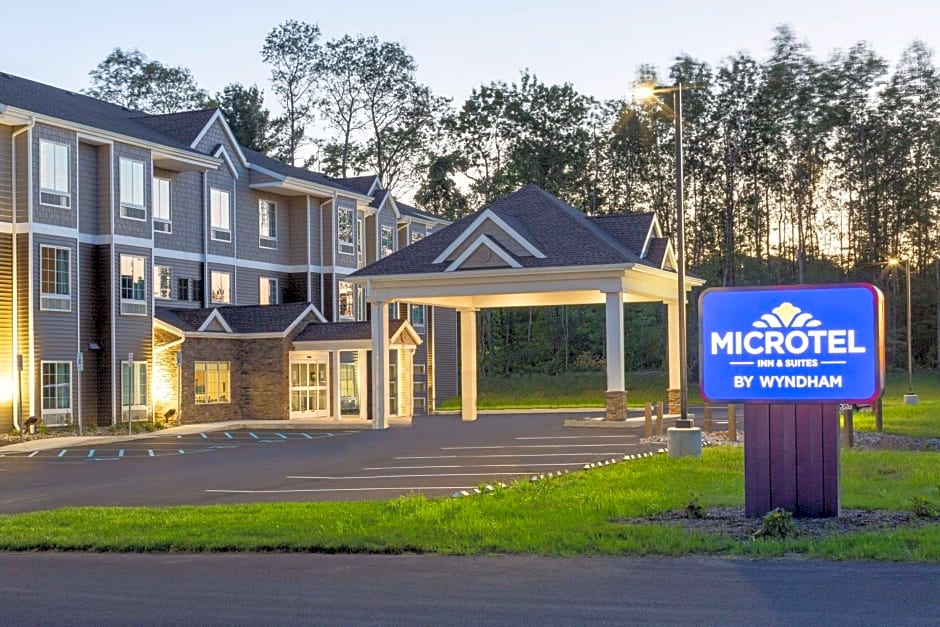 Microtel Inn & Suites by Wyndham Amsterdam