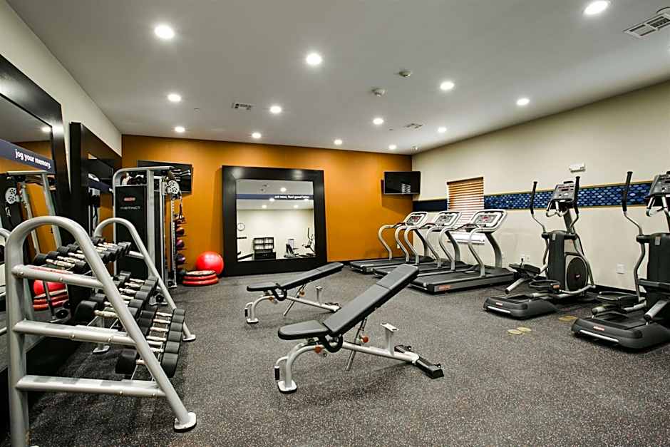 Hampton Inn By Hilton & Suites Dallas/Ft. Worth Airport South
