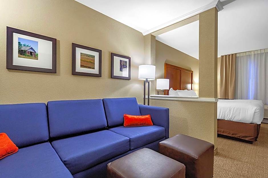 Photo 1 of 13 of 1 King Bed with Sofabed Suite