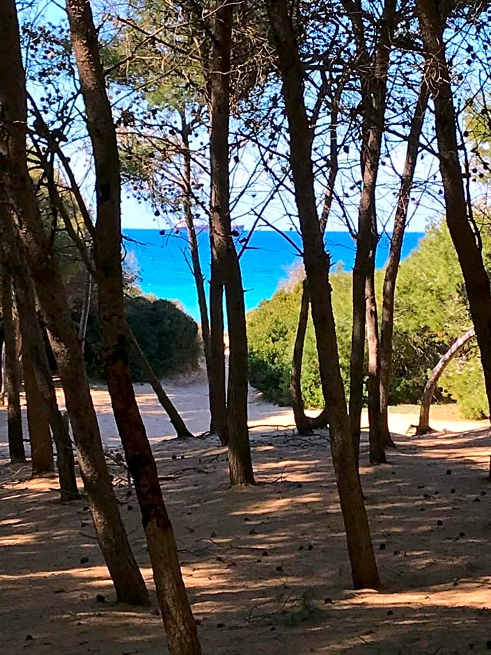 La Casa di Bacco B&b