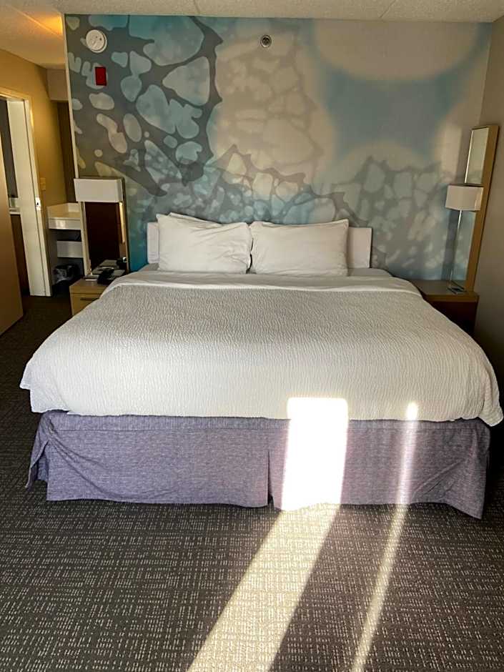 Courtyard by Marriott Detroit Brighton