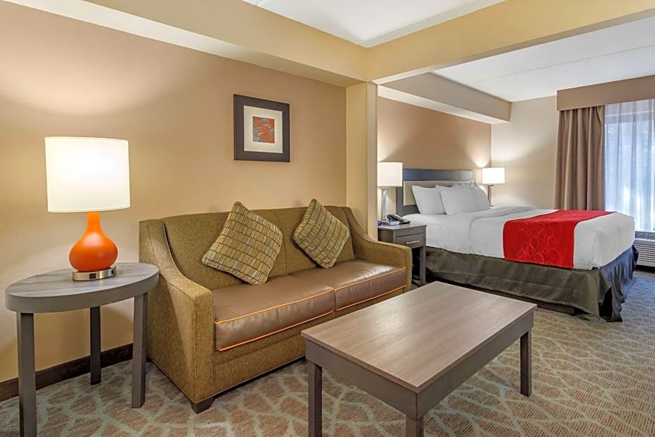 Comfort Suites Alpharetta/Roswell - Atlanta Area