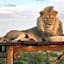 Weltevreden Game Lodge