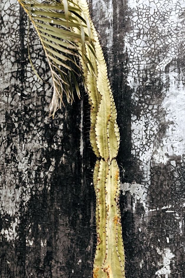 16Tulum
