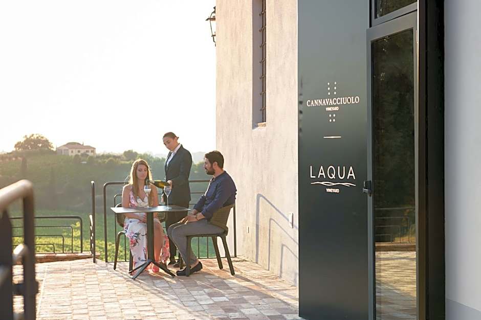 Laqua Vineyard