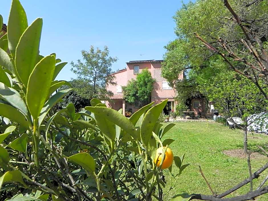 B&B Le clos des vignes Saint Raphael