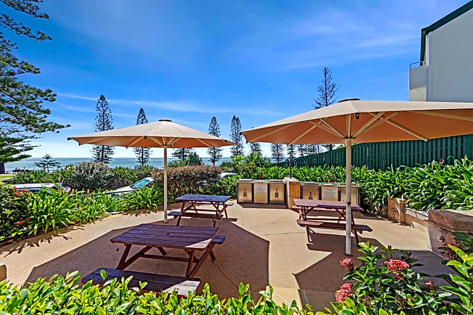 The Norfolks on Moffat Beach