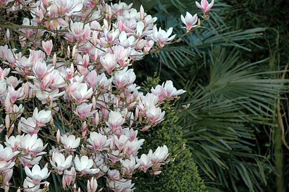 Château de La Ballue - Les Collectionneurs