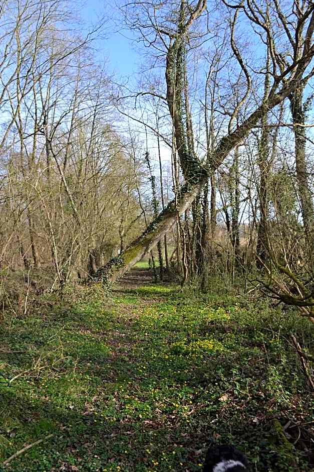 Le Domaine Des Anges, écolodge