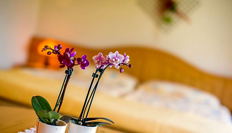 Alpenhotel zur Wildi Lauchernalp