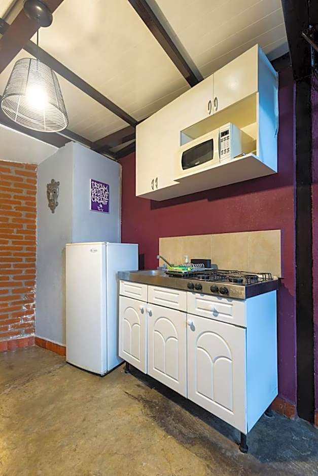 Satya Suites & Portal San Angel Flats