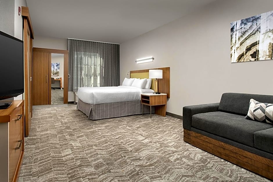 SpringHill Suites by Marriott Tuscaloosa