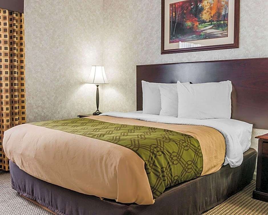 Econo Lodge & Suites Grand Rapids Airport