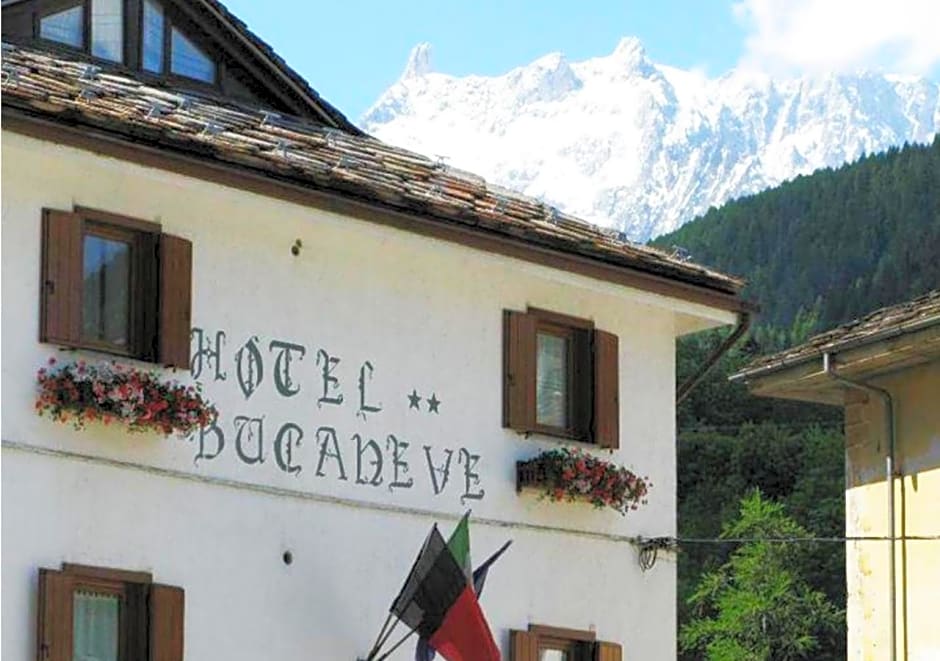 Hotel Bucaneve