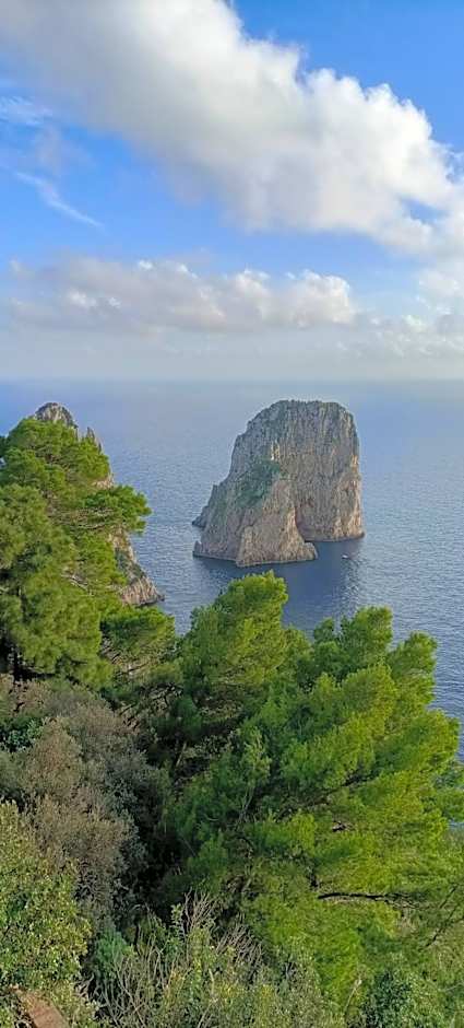 MAISON SAINT MICHAEL