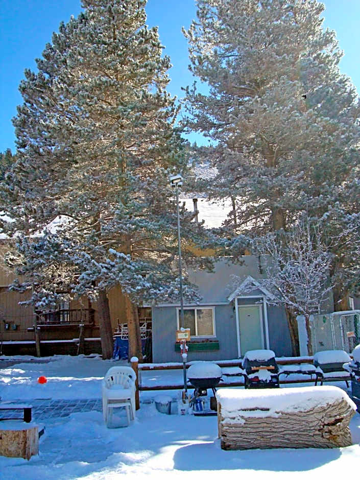 Lake Front Cabins