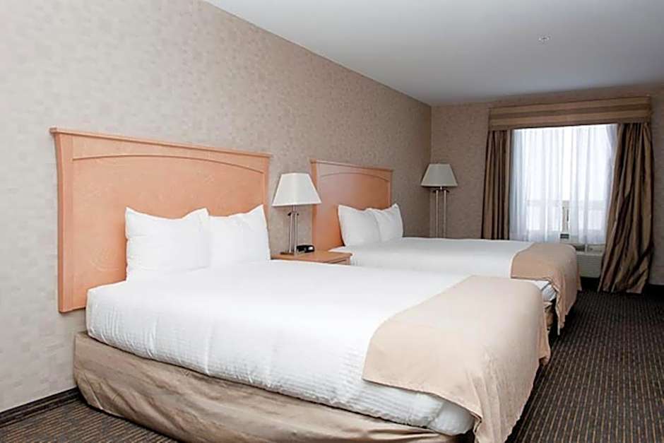 Paradise Inn and Suites