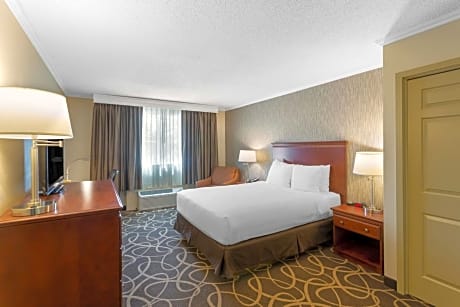 King Room with Roll-In Shower - Pet Friendly/Disability Access