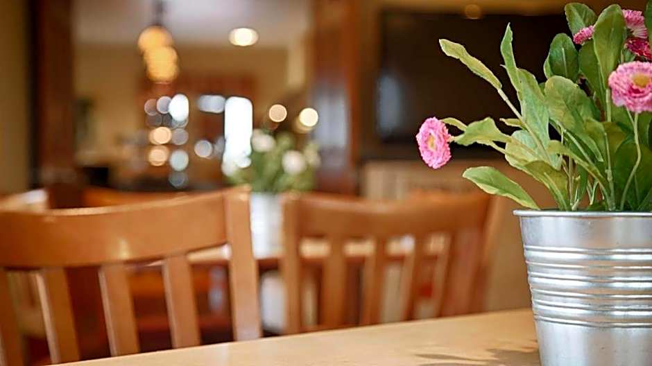 Quality Inn & Suites Detroit Lakes