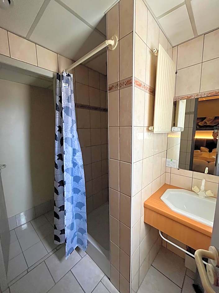 BRIT HOTEL LE VESOUL