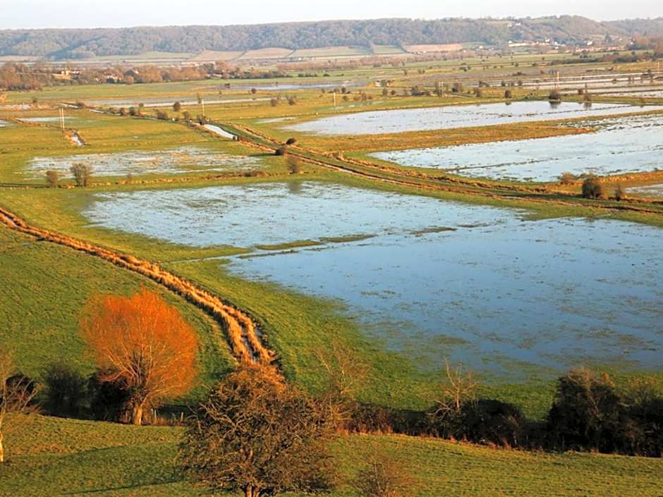 Royal Ashton Townhouse - Taunton