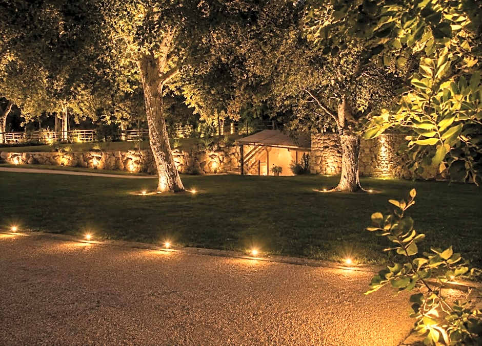 OLYMPUS PARK amnesia