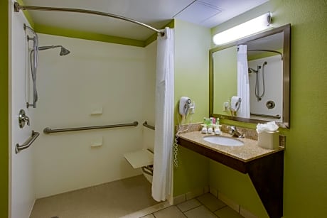 suite, 1 king bed (roll-in shower)