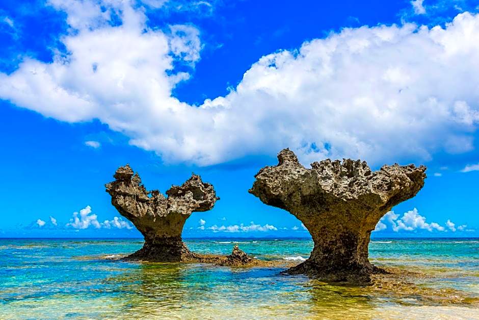 Little Island Okinawa Nago