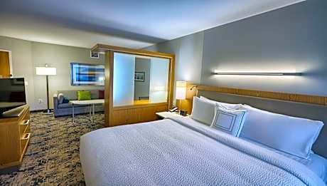 Suite, 1 King Bed with Sofa bed (1 King Bed and 1 Double Sofa Bed)