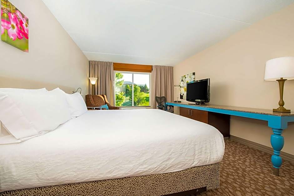 Hilton Garden Inn Charlottesville