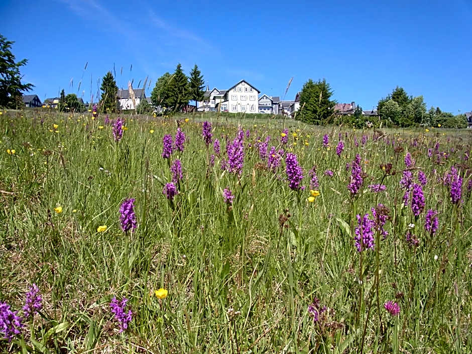 Hotel Schöne Aussicht
