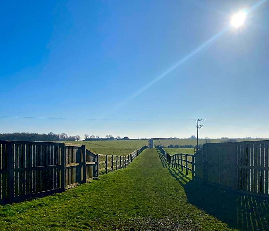 Pettifers Freehouse Hotel